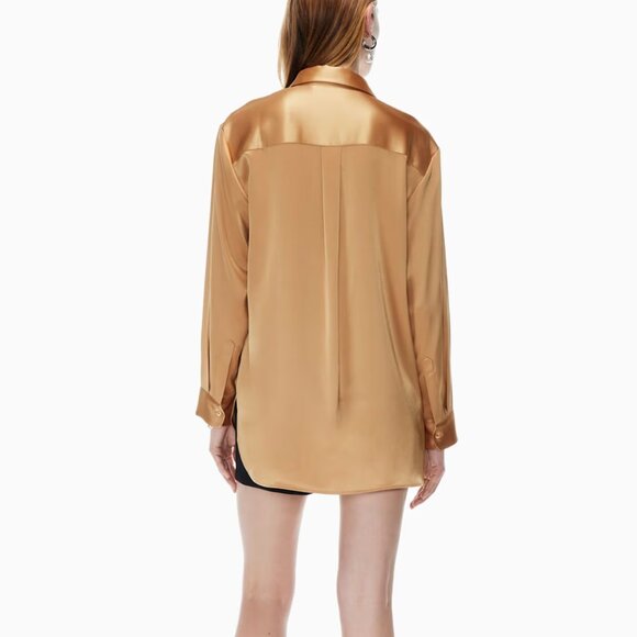 Aritzia Babaton Sable Satin button-up shirt - Picture 4 of 11
